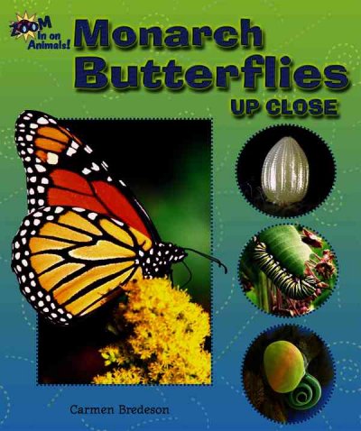 Monarch butterflies up close [book] / Carmen Bredeson.