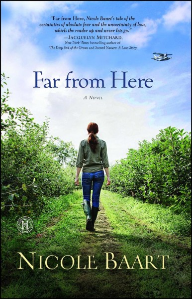 Far from here : a novel / Nicole Baart.