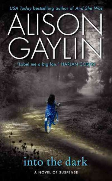 Into the dark : a novel of suspense / Alison Gaylin.