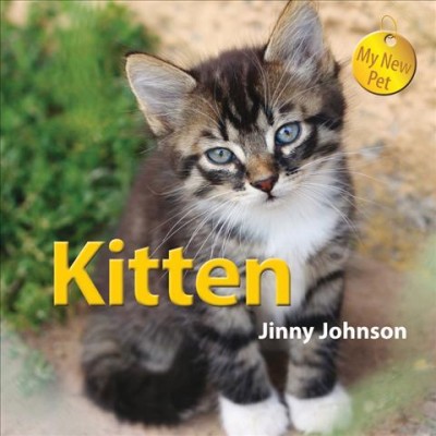 Kitten / Jinny Johnson.