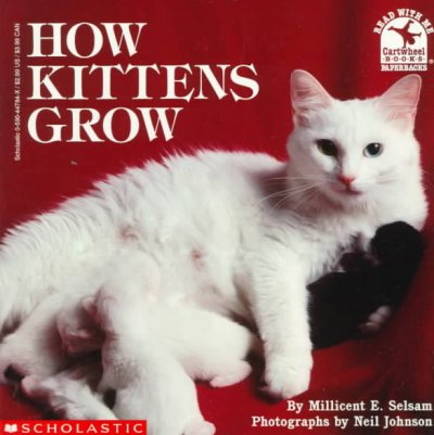 How kittens grow