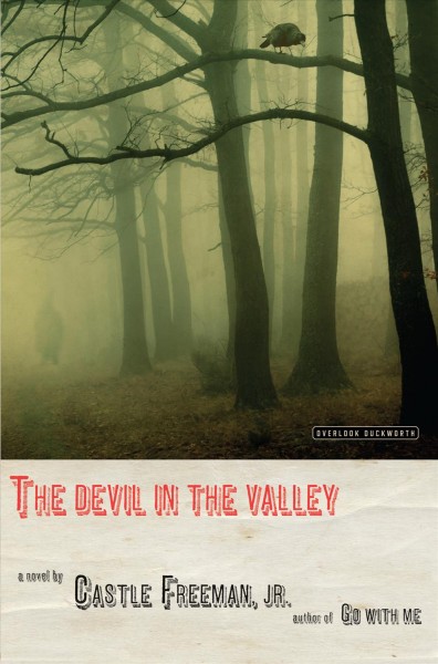 The devil in the valley : a novel / Castle Freeman, Jr.