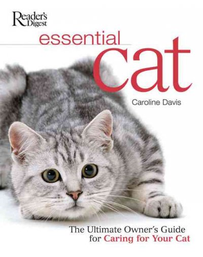 the ultimate guide to caring for your cat