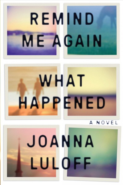 Remind me again what happened : a novel / by Joanna Luloff.