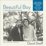 Beautiful boy [sound recording] : a father's journey through his son's meth addiction / David Sheff.