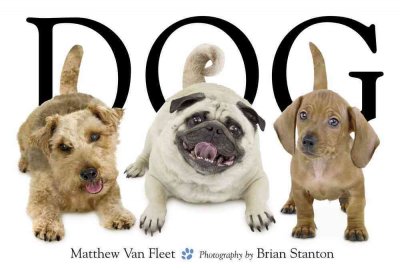 Dog / Matthew Van Fleet ; photography by Brian Stanton.