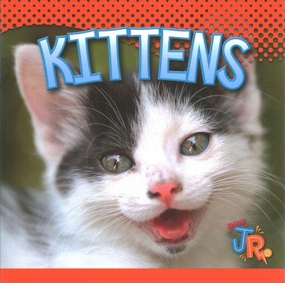 Kittens / by Jen Besel.
