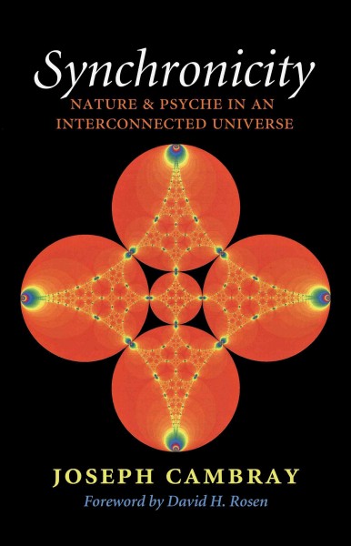 Synchronicity [electronic resource] : nature and psyche in an interconnected universe / Joseph Cambray ; foreword by David H. Rosen.