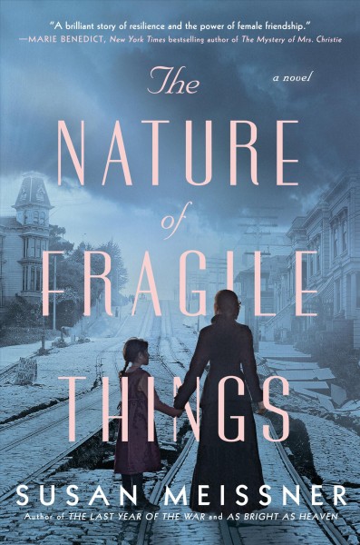 The nature of fragile things : a novel / Susan Meissner.