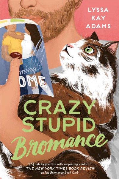 Crazy stupid bromance [electronic resource] / Lyssa Kay Adams.