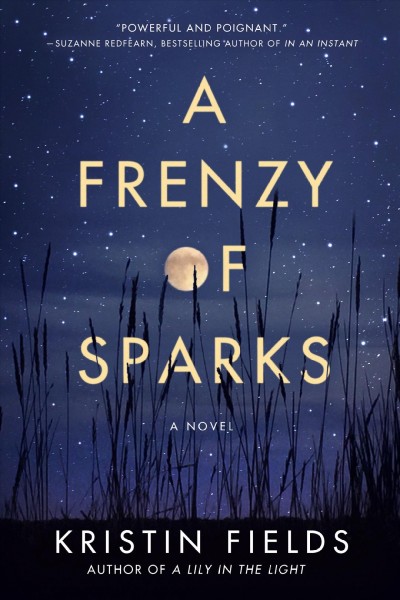 A frenzy of sparks : a novel / Kristin Fields.
