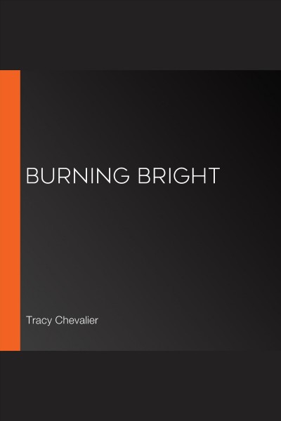 Burning bright [electronic resource]. Chevalier Tracy.