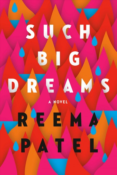 Such big dreams : a novel / Reema Patel.