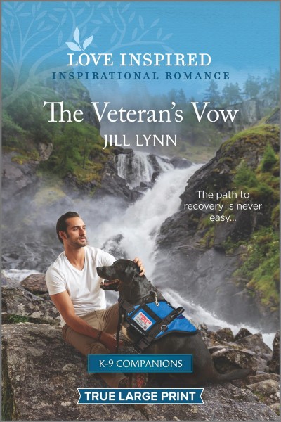 The veteran's vow [large print] / Jill Lynn.