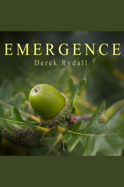 Emergence : seven steps for radical life change [electronic resource] / Derek Rydall.