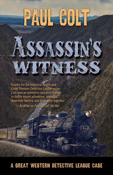 Assassin's witness [text (large print)] / Paul Colt.