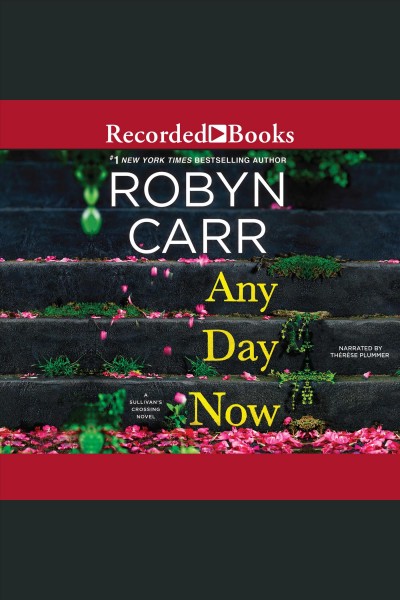 Any day now [electronic resource] / Robyn Carr.