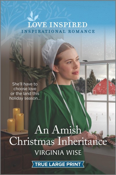 An Amish Christmas inheritance / Jill Kemerer.