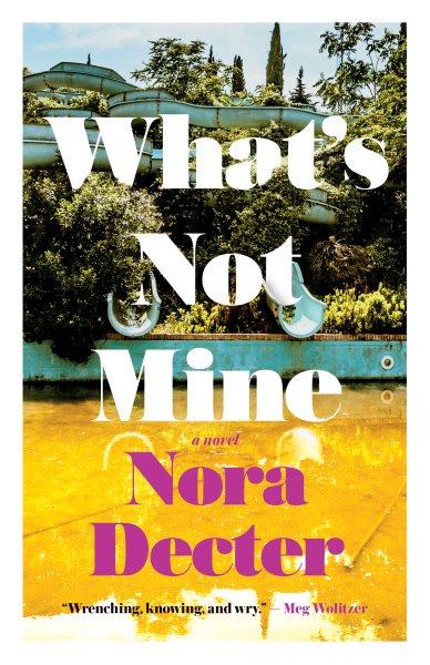 What's not mine : a novel / Nora Decter.