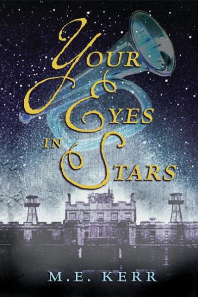Your eyes in stars : a novel / by M.E. Kerr.