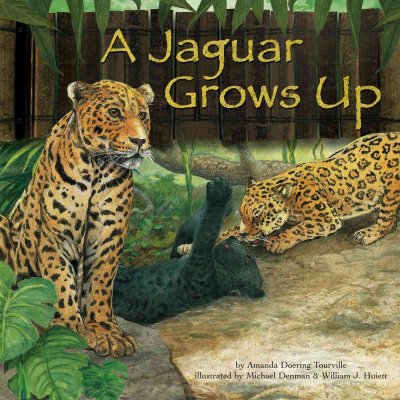 A jaguar grows up / by Amanda Doering Tourville ; illustrated by Michael Denman and William J. Huiett.