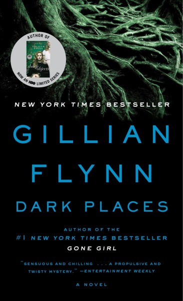 Dark places / Gillian Flynn.