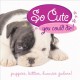 Go to record So cute you could die! : puppies, kitties, bunnies galore!