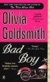 Go to record Bad boy : a novel