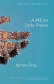 A million little pieces  Cover Image