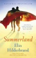 Go to record Summerland : a novel