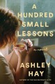 A hundred small lessons : a novel  Cover Image