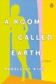 A room called earth : a novel  Cover Image