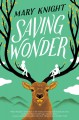 Go to record Saving Wonder