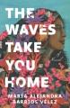 Go to record The waves take you home : a novel