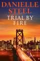 Trial by fire: A novel  Cover Image